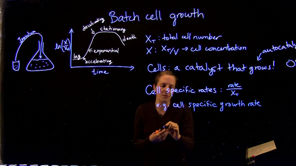 1-1 Phases batch growth